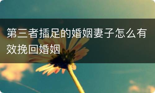 第三者插足的婚姻妻子怎么有效挽回婚姻