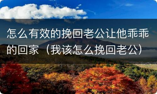 怎么有效的挽回老公让他乖乖的回家（我该怎么挽回老公）