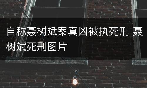 自称聂树斌案真凶被执死刑 聂树斌死刑图片