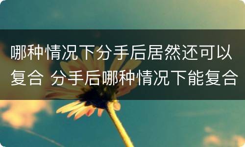 哪种情况下分手后居然还可以复合 分手后哪种情况下能复合