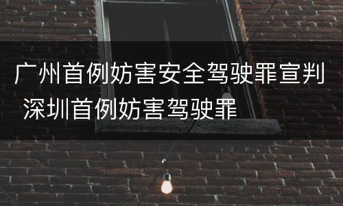 广州首例妨害安全驾驶罪宣判 深圳首例妨害驾驶罪