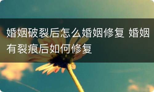 婚姻破裂后怎么婚姻修复 婚姻有裂痕后如何修复