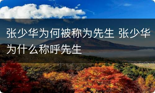 张少华为何被称为先生 张少华为什么称呼先生