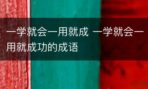 一学就会一用就成 一学就会一用就成功的成语