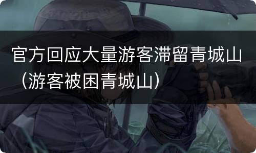 官方回应大量游客滞留青城山（游客被困青城山）