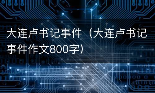 大连卢书记事件（大连卢书记事件作文800字）