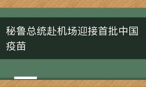 秘鲁总统赴机场迎接首批中国疫苗