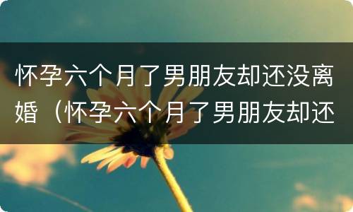 怀孕六个月了男朋友却还没离婚（怀孕六个月了男朋友却还没离婚该怎么办）