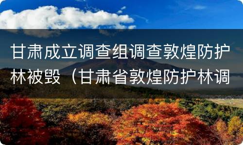 甘肃成立调查组调查敦煌防护林被毁（甘肃省敦煌防护林调查组）
