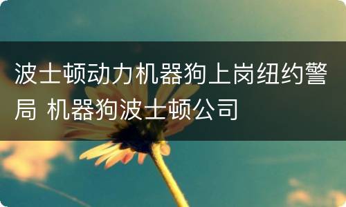 波士顿动力机器狗上岗纽约警局 机器狗波士顿公司