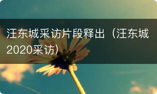 汪东城采访片段释出（汪东城2020采访）