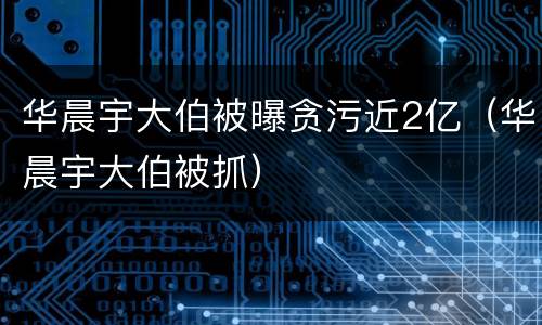 华晨宇大伯被曝贪污近2亿（华晨宇大伯被抓）