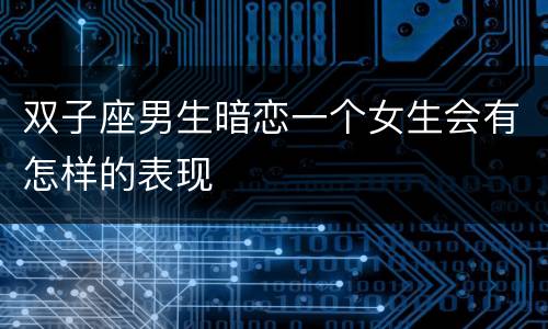 双子座男生暗恋一个女生会有怎样的表现