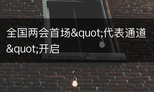 全国两会首场"代表通道"开启