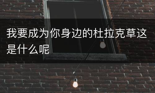 我要成为你身边的杜拉克草这是什么呢