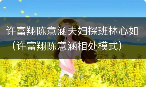 许富翔陈意涵夫妇探班林心如（许富翔陈意涵相处模式）