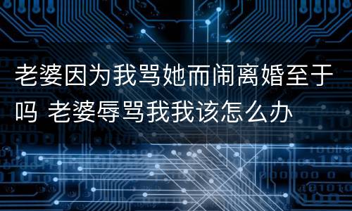 老婆因为我骂她而闹离婚至于吗 老婆辱骂我我该怎么办