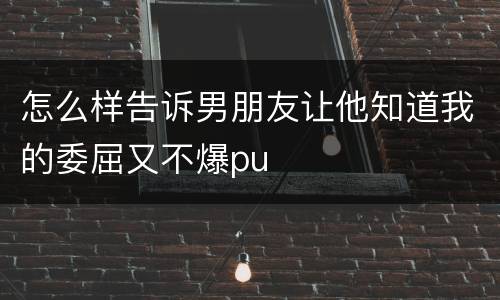 怎么样告诉男朋友让他知道我的委屈又不爆pu