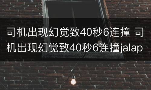 司机出现幻觉致40秒6连撞 司机出现幻觉致40秒6连撞jalapla 86