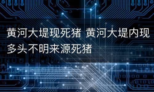 黄河大堤现死猪 黄河大堤内现多头不明来源死猪