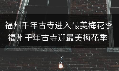 福州千年古寺进入最美梅花季 福州千年古寺迎最美梅花季