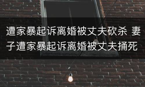 遭家暴起诉离婚被丈夫砍杀 妻子遭家暴起诉离婚被丈夫捅死,法院判处死刑
