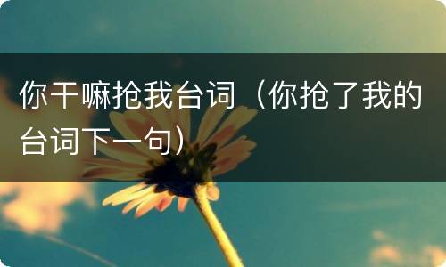 你干嘛抢我台词（你抢了我的台词下一句）