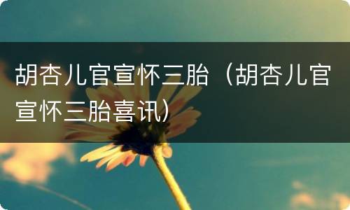 胡杏儿官宣怀三胎（胡杏儿官宣怀三胎喜讯）
