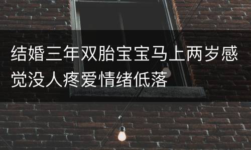 结婚三年双胎宝宝马上两岁感觉没人疼爱情绪低落