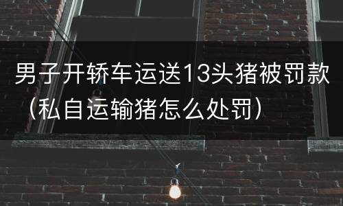 男子开轿车运送13头猪被罚款（私自运输猪怎么处罚）
