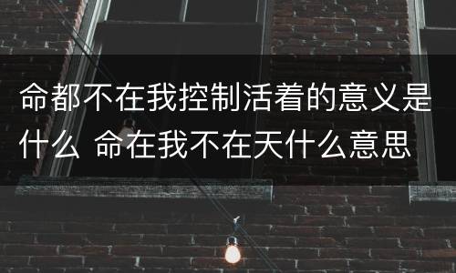 命都不在我控制活着的意义是什么 命在我不在天什么意思