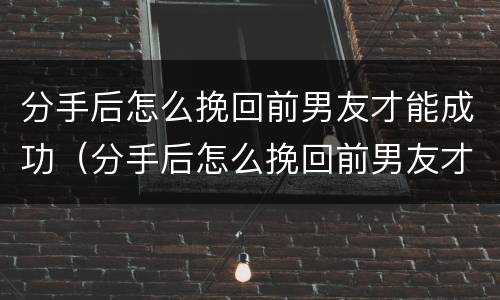 分手后怎么挽回前男友才能成功（分手后怎么挽回前男友才能成功呢）