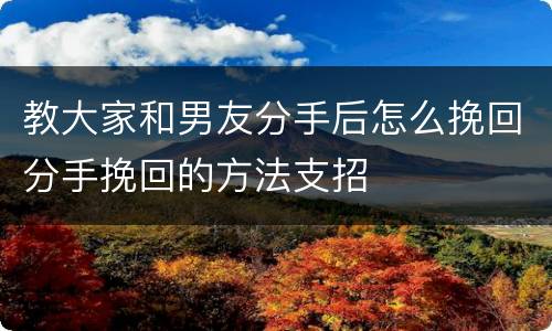 教大家和男友分手后怎么挽回分手挽回的方法支招