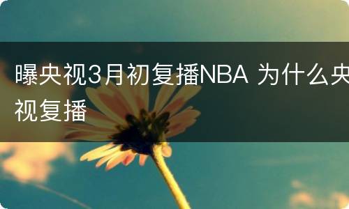 曝央视3月初复播NBA 为什么央视复播