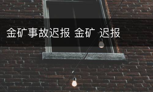 金矿事故迟报 金矿 迟报