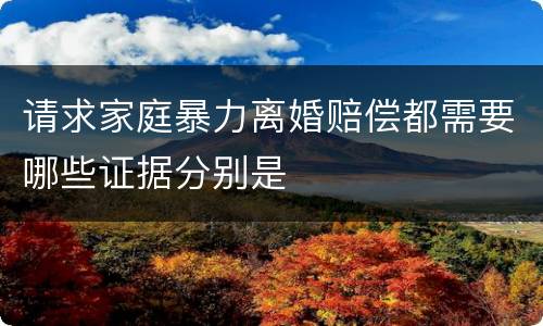 请求家庭暴力离婚赔偿都需要哪些证据分别是