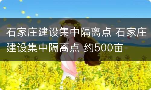 石家庄建设集中隔离点 石家庄建设集中隔离点 约500亩