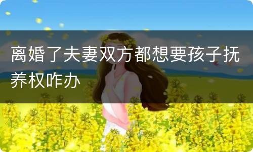 离婚了夫妻双方都想要孩子抚养权咋办