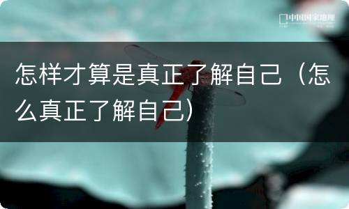 怎样才算是真正了解自己（怎么真正了解自己）