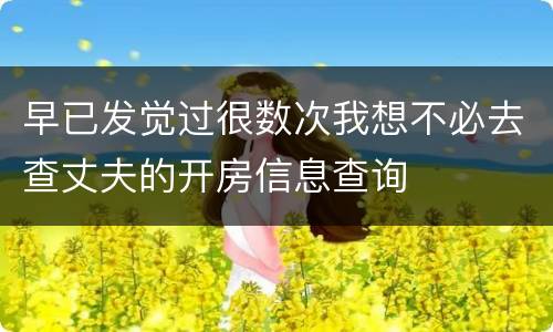 早已发觉过很数次我想不必去查丈夫的开房信息查询
