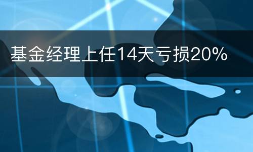 基金经理上任14天亏损20%