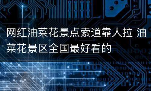 网红油菜花景点索道靠人拉 油菜花景区全国最好看的