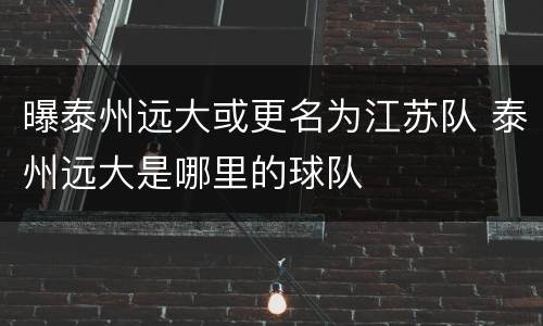 曝泰州远大或更名为江苏队 泰州远大是哪里的球队