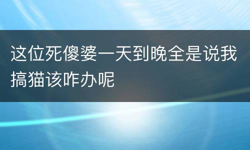这位死傻婆一天到晚全是说我搞猫该咋办呢