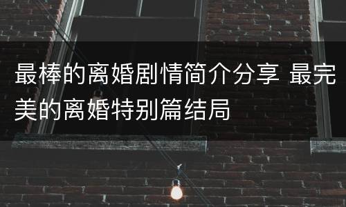 最棒的离婚剧情简介分享 最完美的离婚特别篇结局