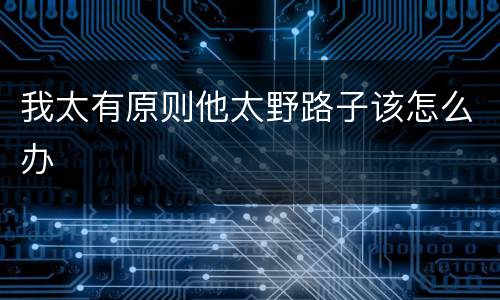 我太有原则他太野路子该怎么办
