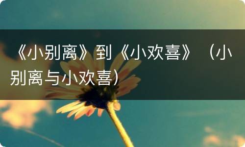 《小别离》到《小欢喜》（小别离与小欢喜）