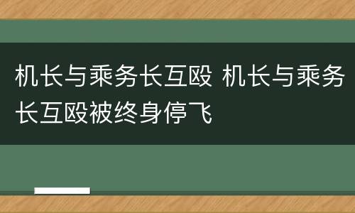 机长与乘务长互殴 机长与乘务长互殴被终身停飞