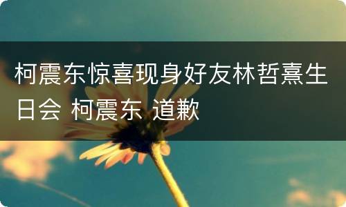 柯震东惊喜现身好友林哲熹生日会 柯震东 道歉