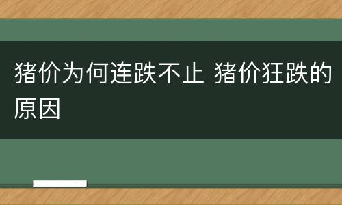 猪价为何连跌不止 猪价狂跌的原因